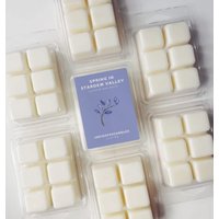 Spring in Stardew Valley Wax Melts Ylang Flower Duftwachs | Sojawachs Teelicht Duftlampe Cozy Gamer Christmas Gift Friends Spring in Stardew Valley Wax Melts Ylang Flower Duftwachs | Sojawachs Teelicht Duftlampe Cozy Gamer Christmas Gift Friends von INDIGOFOXCandles