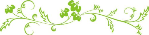 INDIGOS UG Wandtattoo/Wandaufkleber-f41 abstraktes Design Tribal/minimalistische Pflanzenranke mit schönen Blüten und kleinen Verzierungen 80x18 cm-gelbgrün, Vinyl, lindgrün, 80 x 18 x 1 cm von INDIGOS UG