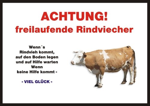 INDIGOS UG - Achtung/Fun Schild - Kalb, Kuh, Kühe, Rind Türschild Türschild A5 ca. 21x15 cm 3mm PVC - Türschild für Käfig, Zwinger, Haustier, Tür, Tier, Aquarium von INDIGOS UG