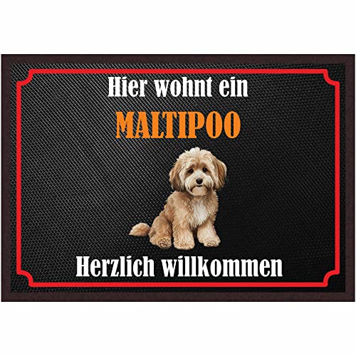 INDIGOS UG Fussmatte Hund - Maltipoo - Bedruckt 50x35 cm mit lustigem Spruch - schwarz - Hier wohnt EIN…. - Türmatte - Schmutzfangmatte für Tür und Hausflur von INDIGOS UG