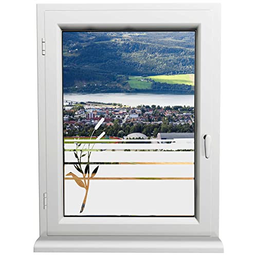 INDIGOS UG - Glasdekorfolie - Rohrkolben - Sonnenschutz H50Line - Sichtschutzfolie - Fensterfolie - für die Küche, Bad ans Fenster, Sichtschutz von INDIGOS UG