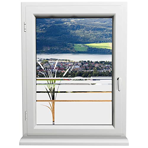 INDIGOS UG - Glasdekorfolie - Rohrkolben - Sonnenschutz H50Line - Sichtschutzfolie - Fensterfolie - für die Küche, Bad ans Fenster, Sichtschutz von INDIGOS UG