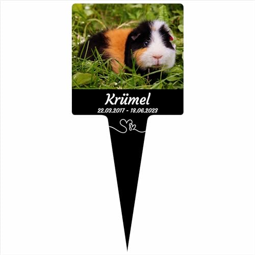INDIGOS UG - Grabschmuck für Ihr Haustier - Meerschweinchen - 20 cm - wetterfester Gedenkpfahl als Grabstecker - mit Foto und Text - Schilder selbst gestalten Wunschname, Trauerspruch INDIGOS UG - Grabschmuck für Ihr Haustier - Meerschweinchen - 20 cm - wetterfester Gedenkpfahl als Grabstecker - mit Foto und Text - Schilder selbst gestalten Wunschname, Trauerspruch von INDIGOS UG