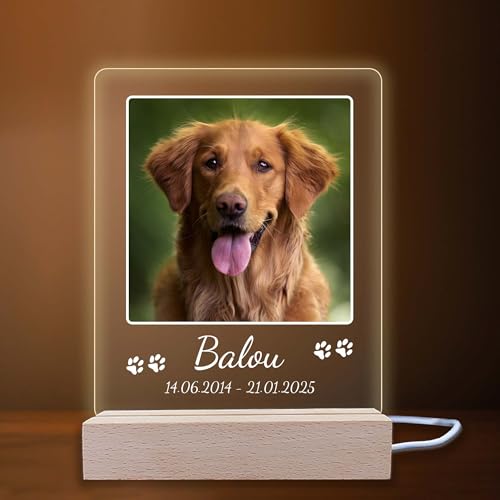 INDIGOS UG - LED Lampe personalisiert - Gedenktafel - hoch, Bild groß - Haustier, Hund, Katze - Wunschbild, Wunschtext - personalisierte Lampe - Geschenk, Familie - optionale Lampe warmweiß von INDIGOS UG