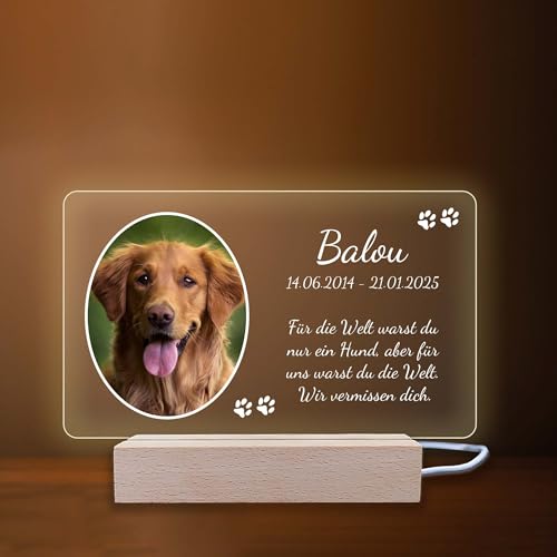 INDIGOS UG - LED Lampe personalisiert - Gedenktafel - quer, Bild oval - Haustier, Hund, Katze - Wunschbild, Wunschtext - personalisierte Lampe - Geschenk, Familie - optionale Lampe warmweiß von INDIGOS UG