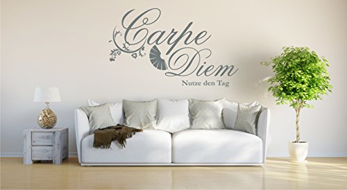 INDIGOS UG - Wandtattoo Wohnzimmer - Wandaufkleber Carpe Diem - Genieße den Tag - 150x95cm grau E933 - Aufkleber Kinderzimmer Schlafzimmer Küche Badezimmer Büro Dekoration von INDIGOS UG