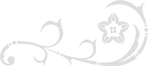 INDIGOS UG Wandtattoo/Wandaufkleber-e10 abstraktes Design Tribal/minimalistische geschwungene Ranke mit schöner Blüte 160 x72 cm- Silber, Vinyl, 160 x 72 x 1 cm von INDIGOS UG