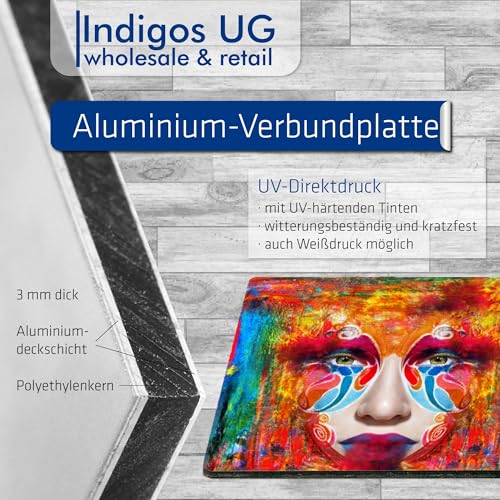 Indigos UG - 3mm Aluverbundplatte - Leiter Brandschutzschild lang - 20x20 cm - Warnung - Sicherheit - Hotel, Firma, Haus von INDIGOS UG