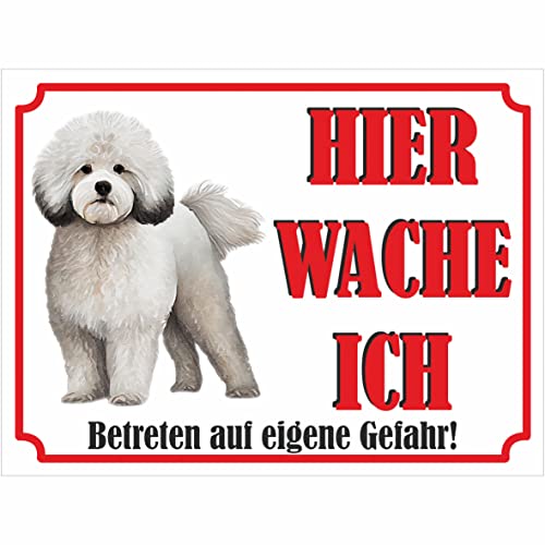 INDIGOS UG - Bichon Frisé - Schild bedruckt - Hier wache ich - Aluverbundplatte weiß - ab 20x15 cm - Spruch - Deko Geschenkidee für Ihren Hund - Zaun - Türschild INDIGOS UG - Bichon Frisé - Schild bedruckt - Hier wache ich - Aluverbundplatte weiß - ab 20x15 cm - Spruch - Deko Geschenkidee für Ihren Hund - Zaun - Türschild von INDIGOS