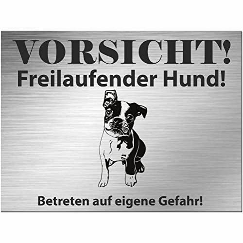 Indigos UG - Schild Boston Terrier - bedruckt - Vorsicht Freilaufender Hund - Aluverbundplatte Edelstahl Look - 20x15 cm - Spruch - Deko Geschenkidee für Ihren Hund - Zaun - Türschild - Hinweisschild von INDIGOS