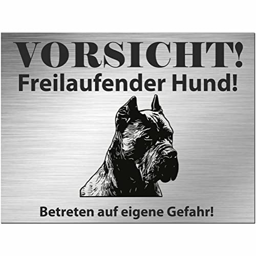 Indigos UG - Schild Cane Corso - bedruckt - Vorsicht Freilaufender Hund - Aluverbundplatte Edelstahl Look - 40x30 cm - Spruch - Deko Geschenkidee für Ihren Hund - Zaun - Türschild - Hinweisschild von INDIGOS