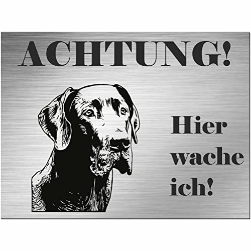Indigos UG - Schild Deutsche Dogge - bedruckt - Achtung Hier wache ich! - Aluverbundplatte Edelstahl Look - 40x30 cm - Spruch - Deko Geschenkidee für Ihren Hund - Zaun - Türschild - Hinweisschild Indigos UG - Schild Deutsche Dogge - bedruckt - Achtung Hier wache ich! - Aluverbundplatte Edelstahl Look - 40x30 cm - Spruch - Deko Geschenkidee für Ihren Hund - Zaun - Türschild - Hinweisschild von INDIGOS