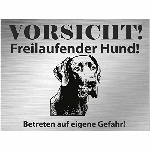 INDIGOS UG - Deutsche Dogge - Schild bedruckt - Vorsicht Freilaufender Hund - Alu-Dibond Edelstahl Look - 40x30 cm - Spruch - Deko Geschenkidee für Ihren Hund - Zaun - Türschild von INDIGOS