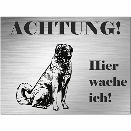 Indigos UG - Schild Kangal Hirtenhund - bedruckt - Achtung Hier wache ich! - Aluverbundplatte Edelstahl Look - 20x15 cm - Spruch - Deko Geschenkidee für Ihren Hund - Zaun - Türschild - Hinweisschild von INDIGOS