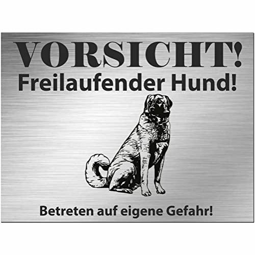 INDIGOS UG - Kangal Hirtenhund - Schild bedruckt - Vorsicht Freilaufender Hund - Alu-Dibond Edelstahl Look - 40x30 cm - Spruch - Deko Geschenkidee für Ihren Hund - Zaun - Türschild von INDIGOS