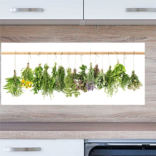INDIGOS UG Küchenrückwand - Kräuter - 100x60 cm ESG Echtglas Bedruckt - mit Bild - Motiv - Küche - Rückwand - Glasplatte - Spritzschutz - Herd - Ofen von INDIGOS