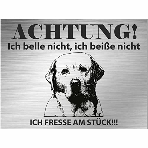 Indigos UG - Schild Labrador - bedruckt - Achtung Ich belle & beiße nicht, ich fresse am Stück! - Aluverbundplatte Edelstahl Look - 20x15 cm - Spruch - Deko Geschenkidee Hund Zaun Türschild von INDIGOS