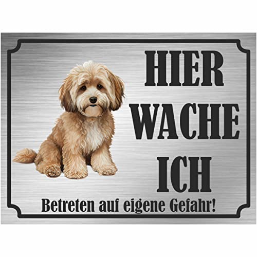 INDIGOS UG - Maltipoo - Schild bedruckt - Hier wache ich - Aluverbundplatte Edelstahl Look - ab 20x15 cm - Spruch - Deko Geschenkidee für Ihren Hund - Zaun - Türschild von INDIGOS