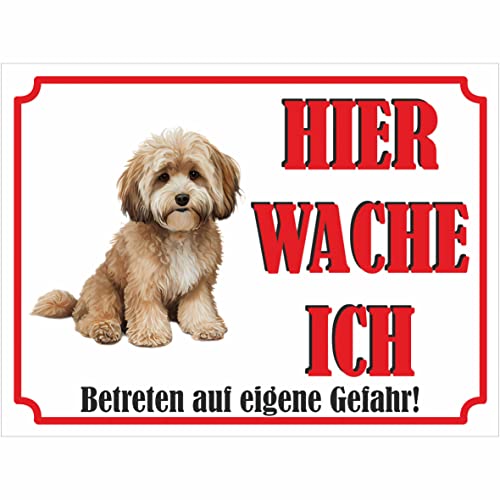 INDIGOS UG - Maltipoo - Schild bedruckt - Hier wache ich - Aluverbundplatte weiß - ab 20x15 cm - Spruch - Deko Geschenkidee für Ihren Hund - Zaun - Türschild INDIGOS UG - Maltipoo - Schild bedruckt - Hier wache ich - Aluverbundplatte weiß - ab 20x15 cm - Spruch - Deko Geschenkidee für Ihren Hund - Zaun - Türschild von INDIGOS