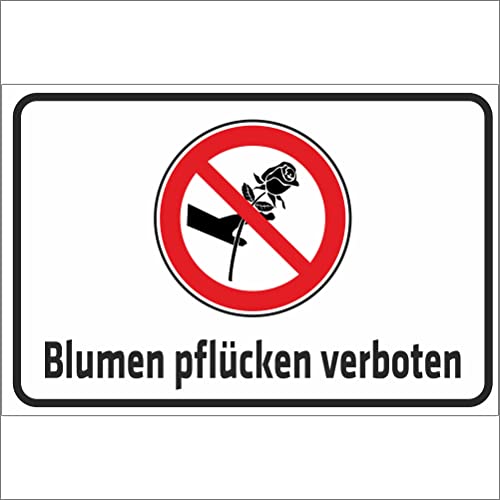 Indigos UG Aufkleber Blumen pflücken verboten - 300x200 mm - Hotel, Firma, Schutz, Kita, Arzt, Praxis, Wohnung - Sicherheit - Warnung Indigos UG Aufkleber Blumen pflücken verboten - 300x200 mm - Hotel, Firma, Schutz, Kita, Arzt, Praxis, Wohnung - Sicherheit - Warnung von INDIGOS