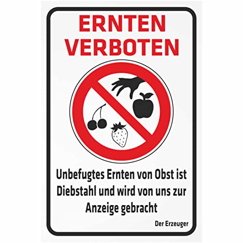 Indigos UG Aufkleber Verbotsschild Ernten verboten 200x150 mm Hotel, Firma, Schutz, Kita, Arzt, Praxis, Wohnung Sicherheit Warnung Indigos UG Aufkleber Verbotsschild Ernten verboten 200x150 mm Hotel, Firma, Schutz, Kita, Arzt, Praxis, Wohnung Sicherheit Warnung von INDIGOS