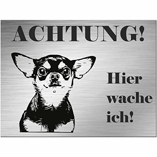 Indigos UG - Schild Chihuahua - bedruckt - Achtung Hier wache ich! - Aluverbundplatte Edelstahl Look - 30x20 cm - Spruch - Deko Geschenkidee für Ihren Hund - Zaun - Türschild - Hinweisschild von INDIGOS