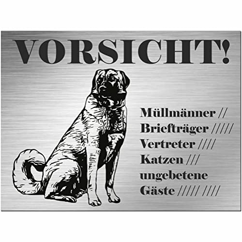 Indigos UG - Schild Kangal Hirtenhund - bedruckt - Vorsicht Müllmanner usw - Aluverbundplatte Edelstahl Look - 20x15 cm - Spruch - Deko Geschenkidee für Ihren Hund - Zaun - Türschild - Hinweisschild Indigos UG - Schild Kangal Hirtenhund - bedruckt - Vorsicht Müllmanner usw - Aluverbundplatte Edelstahl Look - 20x15 cm - Spruch - Deko Geschenkidee für Ihren Hund - Zaun - Türschild - Hinweisschild von INDIGOS