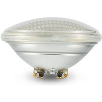 LED-Poolbeleuchtung, 35 w par 56-Schwimmbadbeleuchtung, reines weißes Licht, wasserdicht für Innen- und Außenbereiche von Pools und Teichen [dc/ac 12 LED-Poolbeleuchtung, 35 w par 56-Schwimmbadbeleuchtung, reines weißes Licht, wasserdicht für Innen- und Außenbereiche von Pools und Teichen [dc/ac 12 von INEASICER