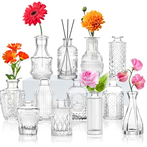 Glas Bud Vase Set von 12 verschiedenen Mustern. Kleine Mini Vintage Vasen für Blumen, Geschenkbox Klare Bud Vasen in Bulk, Nette Glasvasen für Mittelstücke Hochzeit Home Tisch Blume Dekor von INFTYLE