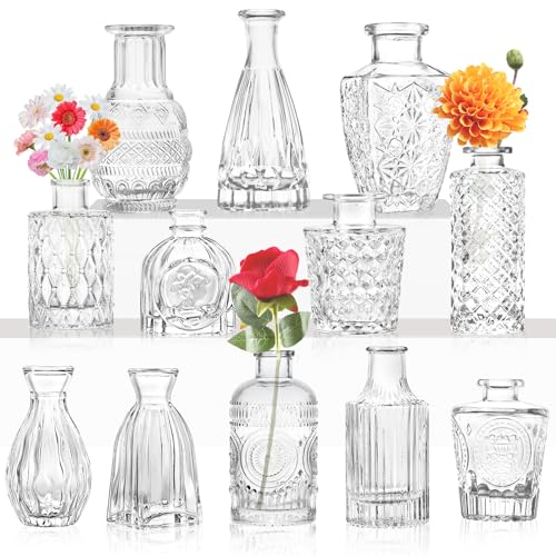 Glas Bud Vase Set von 12.Kleine Vasen für Blumen, klare Bud Vasen in Bulk, für Mittelstücke, Mini Vintage Vase für Hochzeit Home Table Decor von INFTYLE