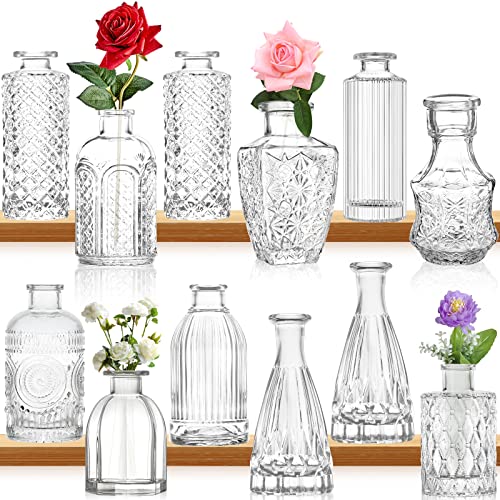 Glas Knospe Vase Satz von 12, kleine Mini klar Knospe Vasen in Bulk, Vintage klar Glas Knospe Vase, Glasflaschen Vase für Home Decor, Hochzeit Mittelstücke Tischdekoration, Blumenarrangements, Dinning von INFTYLE