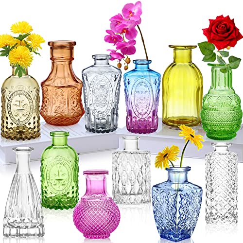 Vasen Set 12 Stück Mini Vase Glas Bunte Blumenvase Glasfläschchen kleine Flasche Tischvasen Tischdeko in verschiedenen Formen Dekoration für Wohnzimmer Bad Farbig von INFTYLE