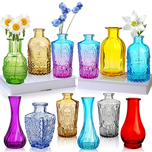 INFTYLE Bunte Glasvasen, 12 Stück, kleine Bunte Vintage-Knospenvasen, Mini-dekorative Glasflaschen für Tafelaufsatz, Büro, Garten, Hochzeit von INFTYLE