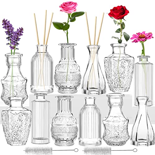 Kleine Vasen Set 12er Mini Vase Glas Vintage Hochzeit Kristalle Klare Blumenvase Verschiedene Groessen Modern Schmal Glasvasen Tischdeko Fur Blumen Deko Wohnzimmer Bad Muttertagsgeschenk Kleine Vasen Set 12er Mini Vase Glas Vintage Hochzeit Kristalle Klare Blumenvase Verschiedene Groessen Modern Schmal Glasvasen Tischdeko Fur Blumen Deko Wohnzimmer Bad Muttertagsgeschenk von INFTYLE