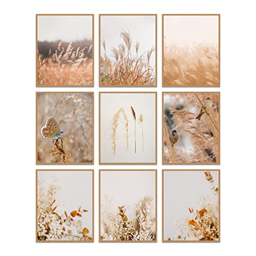 INFUNLY Set of 9 botanischen Schilf-Wand-Kunstdrucken Getrockneten Blumen Pflanzen Posterdruck Bildern 8"X10" ungerahmt Natur-Leinwand-Kunst Wanddekoration Wohnzimmer Ästhetische Landschaftsposter von INFUNLY