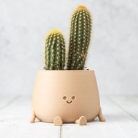 3D Gedruckter Happy Face Planter, Umweltfreundliches Biobasiertes Material, Niedlicher Blumentopf, Planter Pot, Head Succulenter Pot von INGADISHOP