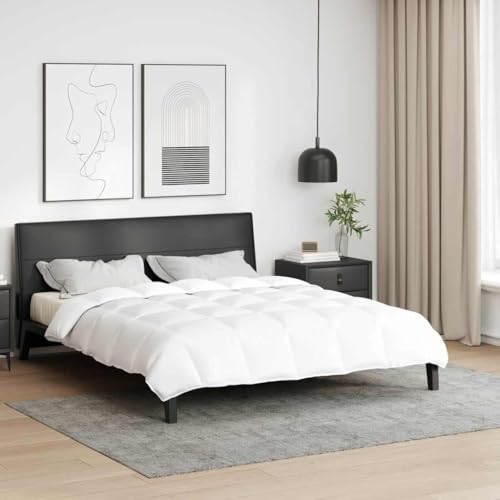 INLIFE Decken & Bettdecken Weiß 260 x 220 cm Daunen,Heim & Garten,Haushaltswäsche,Bettwäsche,Bettdecken,Weiß,3.39 KG,42007649 INLIFE Decken & Bettdecken Weiß 260 x 220 cm Daunen,Heim & Garten,Haushaltswäsche,Bettwäsche,Bettdecken,Weiß,3.39 KG,42007649 von INLIFE