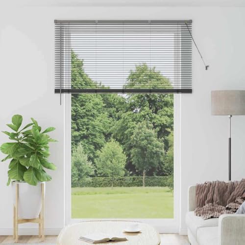 INLIFE Fensterjalousie mit Vorhängen Dunkelgrau Aluminium,Heim & Garten,Dekoration,Fensterdrapierung,Jalousien & Rollos,Grau,2.42 KG,42006107 INLIFE Fensterjalousie mit Vorhängen Dunkelgrau Aluminium,Heim & Garten,Dekoration,Fensterdrapierung,Jalousien & Rollos,Grau,2.42 KG,42006107 von INLIFE