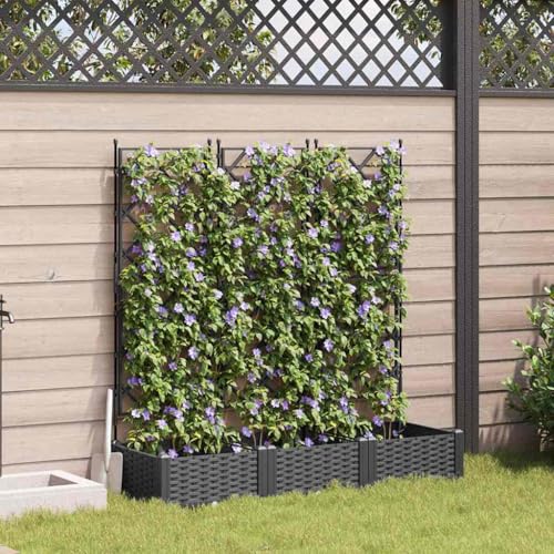 INLIFE Gartenpflanzer mit Gitter 3 pcs Schwarz 120 x 40 x 125,5 cm PP,Heim & Garten,Rasen & Garten,Gartenpflege,Blumentöpfe & Pflanzgefäße,Schwarz,7.07 KG,42002839 INLIFE Gartenpflanzer mit Gitter 3 pcs Schwarz 120 x 40 x 125,5 cm PP,Heim & Garten,Rasen & Garten,Gartenpflege,Blumentöpfe & Pflanzgefäße,Schwarz,7.07 KG,42002839 von INLIFE
