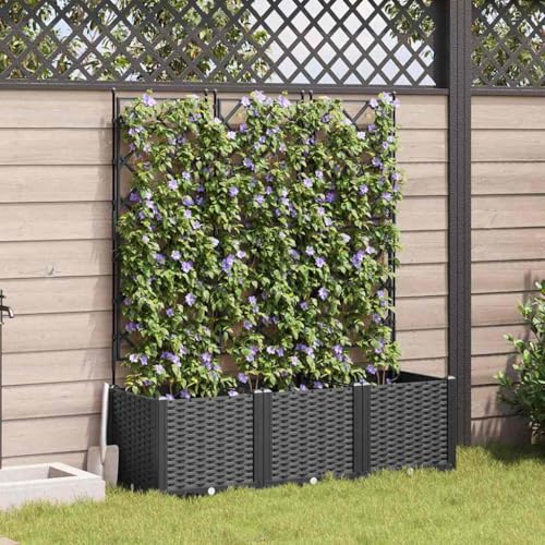 INLIFE Gartenpflanzer mit Gitter 3 pcs Schwarz 120 x 40 x 143 cm PP,Heim & Garten,Rasen & Garten,Gartenpflege,Blumentöpfe & Pflanzgefäße,Schwarz,9.89 KG,42002840 INLIFE Gartenpflanzer mit Gitter 3 pcs Schwarz 120 x 40 x 143 cm PP,Heim & Garten,Rasen & Garten,Gartenpflege,Blumentöpfe & Pflanzgefäße,Schwarz,9.89 KG,42002840 von INLIFE