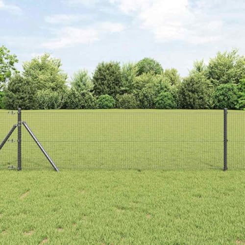 INLIFE Geschweißter Drahtzaun Grau 0,6 x 25 m Stahl,Heimwerkerbedarf,Hauseinzäunung,Zaunfelder,Grau,4.91 KG,42005207 von INLIFE