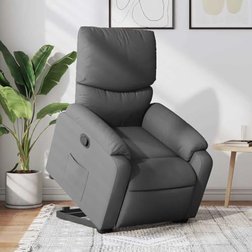 INLIFE Relaxsessel mit Aufstehhilfe Dunkelgrau Stoff,Möbel,Stühle,Sessel,Grau,26.85 KG,3204825 von INLIFE