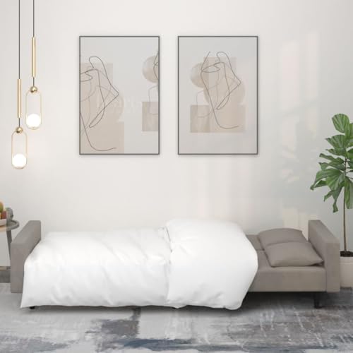 INLIFE Schlafsofa 2-Sitzer mit 2 Kissen Hellgrau Samt,Möbel,Sofas,Grau,28.55 KG,375816 von INLIFE