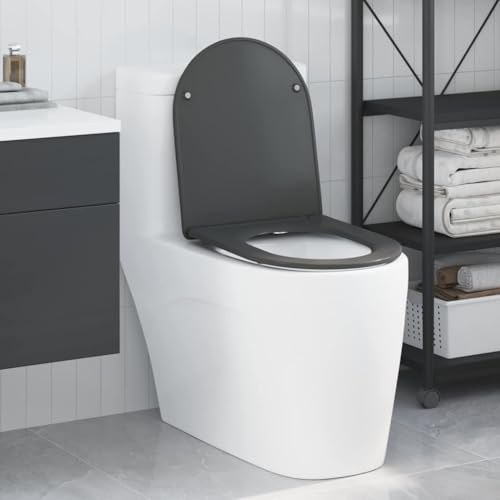 INLIFE Schnellverschluss-WC-Sitz Anthrazit 44 x 36,4 x 3,4 cm,Heimwerkerbedarf,Sanitärbedarf,Zubehör für sanitäre Anlagen,Toiletten- & Bidetzubehör,Toilettensitze,Anthrazit,2.7 KG,42002366 von INLIFE