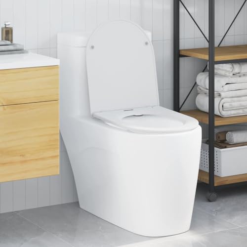 INLIFE Schnellverschluss-WC-Sitz Weiß 44 x 36,4 x 3,4 cm Duroplast,Heimwerkerbedarf,Sanitärbedarf,Zubehör für sanitäre Anlagen,Toiletten- & Bidetzubehör,Toilettensitze,Weiß,2.7 KG,42002369 INLIFE Schnellverschluss-WC-Sitz Weiß 44 x 36,4 x 3,4 cm Duroplast,Heimwerkerbedarf,Sanitärbedarf,Zubehör für sanitäre Anlagen,Toiletten- & Bidetzubehör,Toilettensitze,Weiß,2.7 KG,42002369 von INLIFE