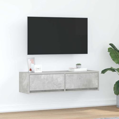 INLIFE TV-Schränk Betongrau 100 x 31 x 25,5 cm Holzwerkstoff,Möbel,TV-Möbel,Grau,17.2 KG,861529 von INLIFE