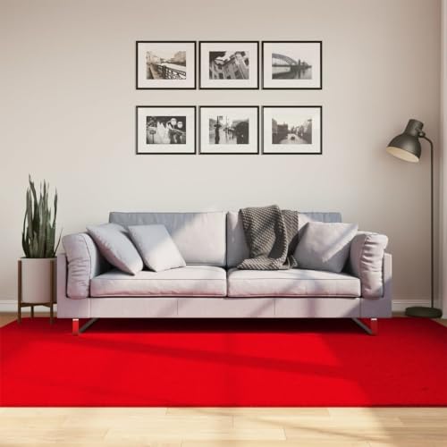 INLIFE Teppich HUARTE Kurzflor Weich und Waschbar Rot 160x230 cm,Heim & Garten,Dekoration,Teppiche,Rot,6.7 KG,375174 von INLIFE