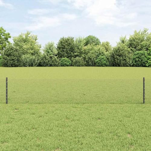 INLIFE Zaun mit Pfosten Grau 0,4 x 10 m Stahl,Heimwerkerbedarf,Hauseinzäunung,Zaunfelder,Grau,4.23 KG,3336805 von INLIFE
