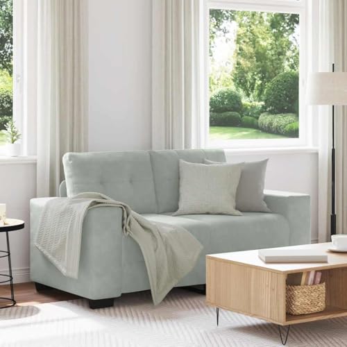 INLIFE Zweisitzer-Sofa Hellgrau 120 cm Samt,Möbel,Sofas,Grau,25.9 KG,4105110 von INLIFE