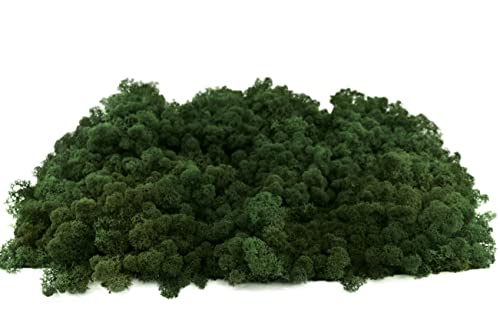 INMO Moos - Islandmoos echtes Natur Moos konserviert 200g Dunkelgrün. Dekomoos zum Basteln, Moosbild, Wand-Bilder, Wanddeko, Modellbau weitere Farben und Mengen zur Auswahl 40g - 500g 1 KG - 4 KG von INMO
